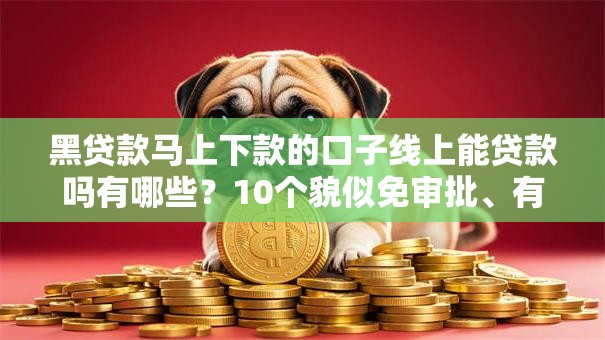 黑贷款马上下款的口子线上能贷款吗有哪些？10个貌似免审批、有容易借的平台嘛合集