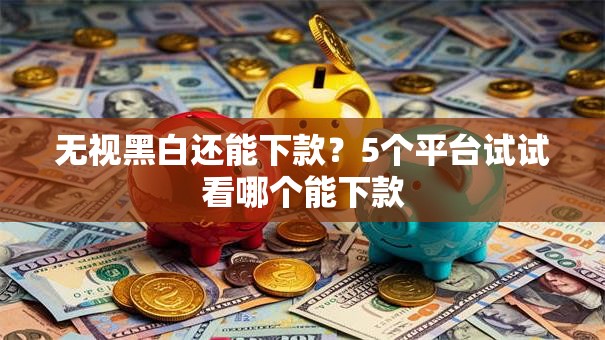 无视黑白还能下款？5个平台试试看哪个能下款