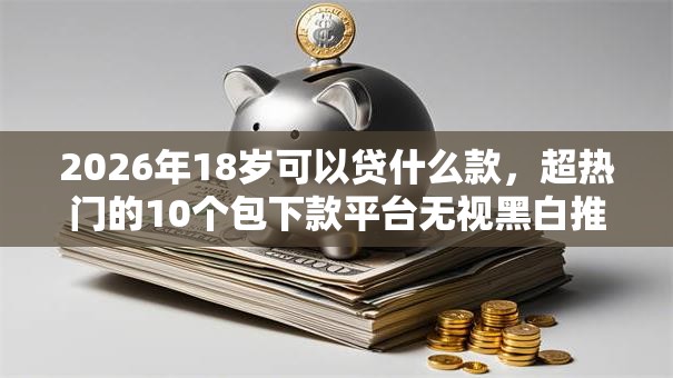 2026年18岁可以贷什么款，超热门的10个包下款平台无视黑白推荐