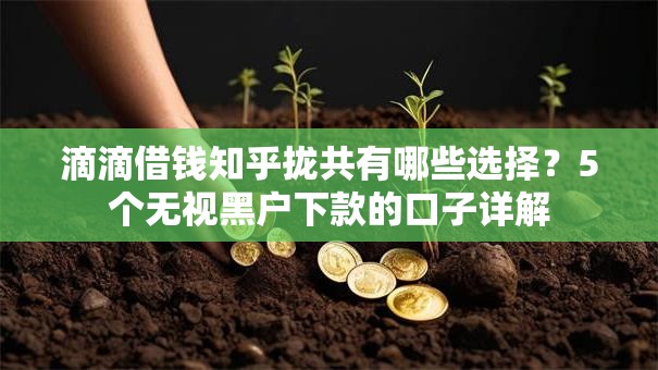 滴滴借钱知乎拢共有哪些选择？5个无视黑户下款的口子详解