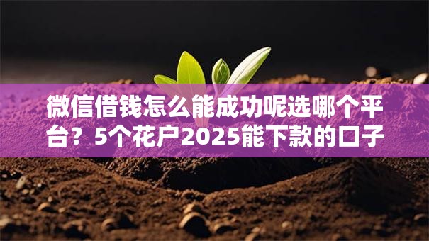 微信借钱怎么能成功呢选哪个平台？5个花户2025能下款的口子推荐