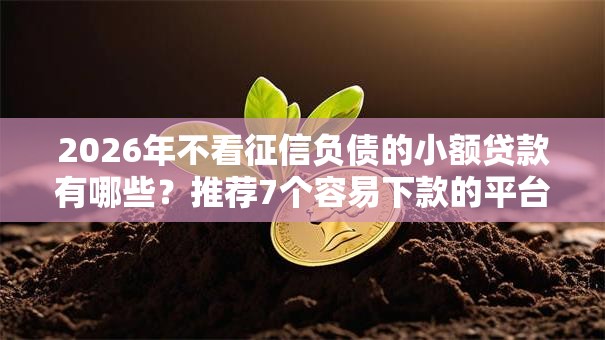 2026年不看征信负债的小额贷款有哪些？推荐7个容易下款的平台