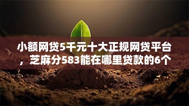 小额网贷5千元十大正规网贷平台，芝麻分583能在哪里贷款的6个平台介绍