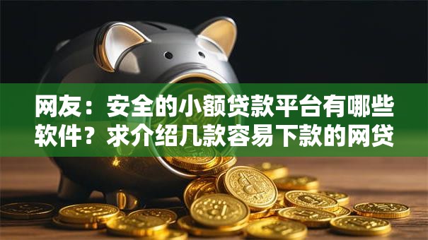 网友：安全的小额贷款平台有哪些软件？求介绍几款容易下款的网贷口子