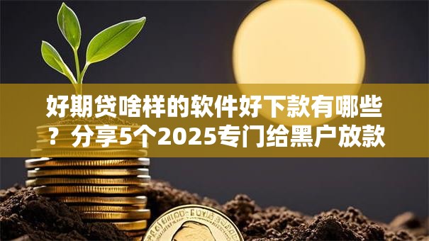 好期贷啥样的软件好下款有哪些?分享5个2025专门给黑户放款的平台 好期贷啥样的软件好下款有哪些?分享5个2025专门给黑户放款的平台