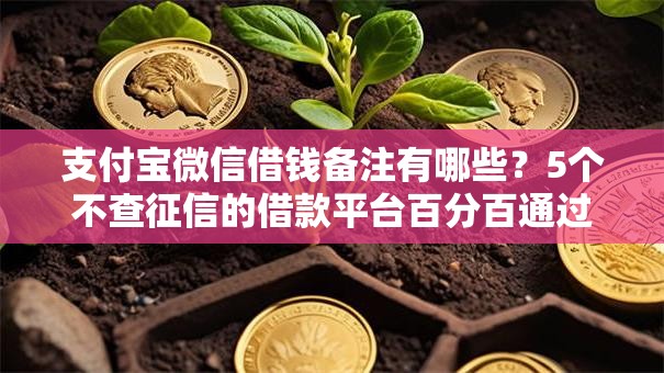 支付宝微信借钱备注有哪些？5个不查征信的借款平台百分百通过推荐给你