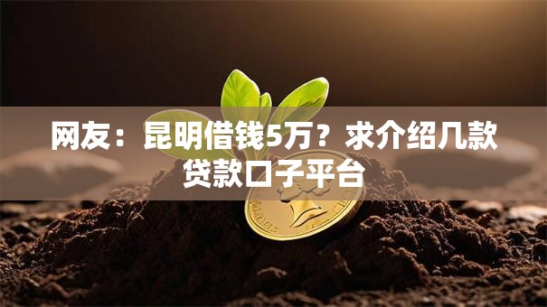 网友：昆明借钱5万？求介绍几款贷款口子平台