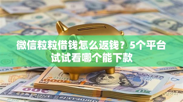 微信粒粒借钱怎么返钱？5个平台试试看哪个能下款