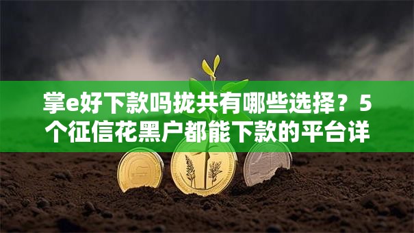 掌e好下款吗拢共有哪些选择？5个征信花黑户都能下款的平台详解