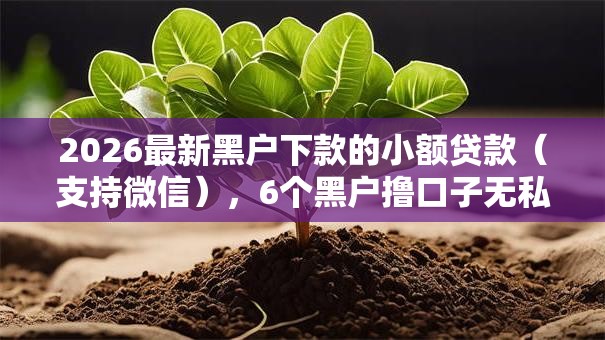 2026最新黑户下款的小额贷款（支持微信），6个黑户撸口子无私分享