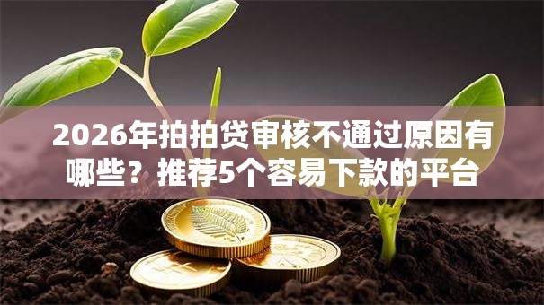 2026年拍拍贷审核不通过原因有哪些?推荐5个容易下款的平台 2026年拍拍贷审核不通过原因有哪些?推荐5个容易下款的平台