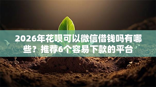 2026年花呗可以微信借钱吗有哪些？推荐6个容易下款的平台