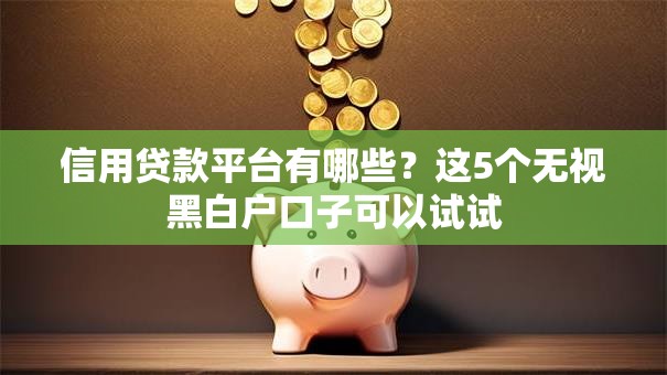 信用贷款平台有哪些？这5个无视黑白户口子可以试试