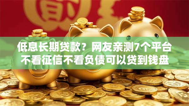 低息长期贷款？网友亲测7个平台不看征信不看负债可以贷到钱盘点
