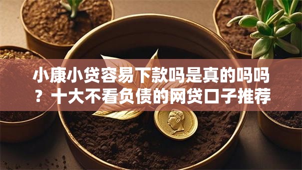 小康小贷容易下款吗是真的吗吗？十大不看负债的网贷口子推荐