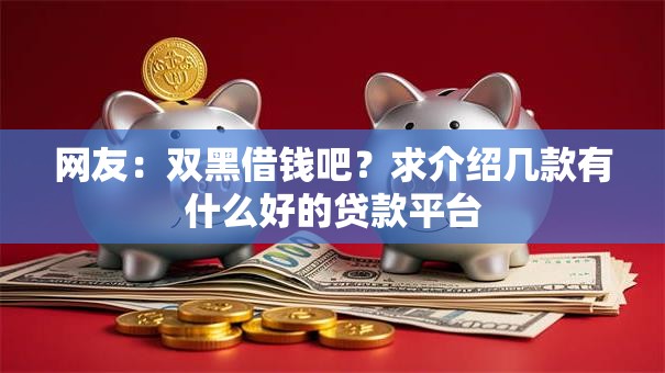 网友：双黑借钱吧？求介绍几款有什么好的贷款平台