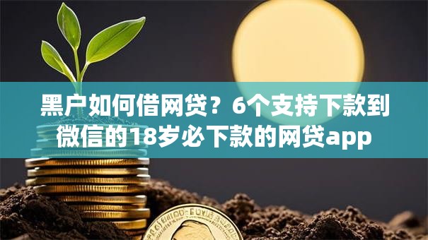 黑户如何借网贷？6个支持下款到微信的18岁必下款的网贷app