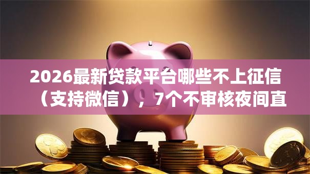 2026最新贷款平台哪些不上征信（支持微信），7个不审核夜间直接放款的网贷app无私分享
