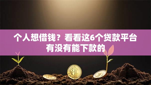 个人想借钱？看看这6个贷款平台有没有能下款的