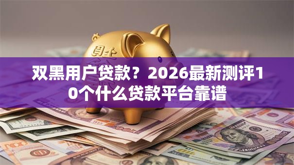 双黑用户贷款？2026最新测评10个什么贷款平台靠谱