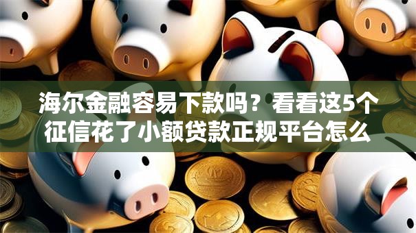 海尔金融容易下款吗？看看这5个征信花了小额贷款正规平台怎么样