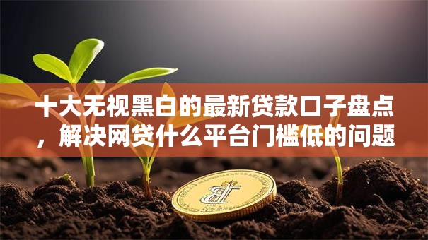 十大无视黑白的最新贷款口子盘点，解决网贷什么平台门槛低的问题