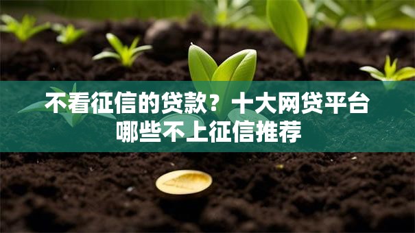 不看征信的贷款？十大网贷平台哪些不上征信推荐