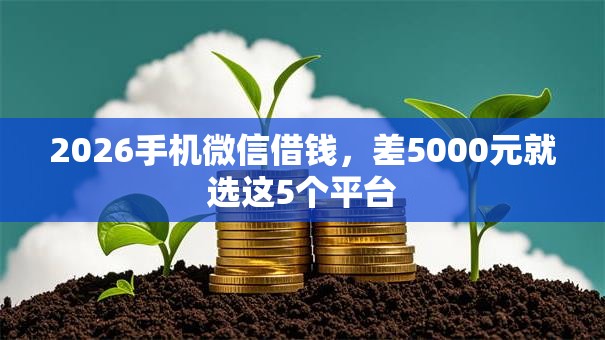 2026手机微信借钱，差5000元就选这5个平台