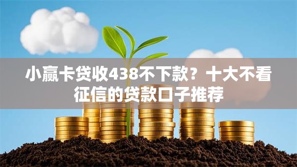 小赢卡贷收438不下款？十大不看征信的贷款口子推荐