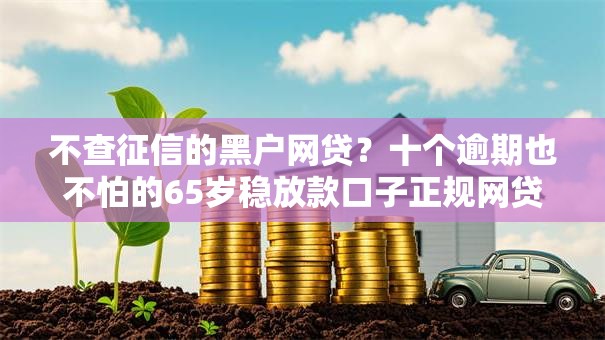 不查征信的黑户网贷？十个逾期也不怕的65岁稳放款口子正规网贷