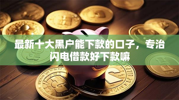 最新十大黑户能下款的口子，专治闪电借款好下款嘛