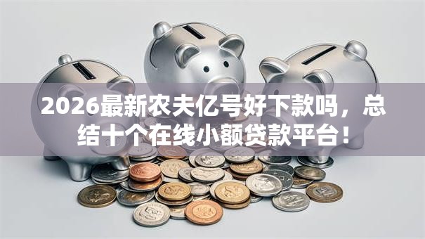 2026最新农夫亿号好下款吗，总结十个在线小额贷款平台！