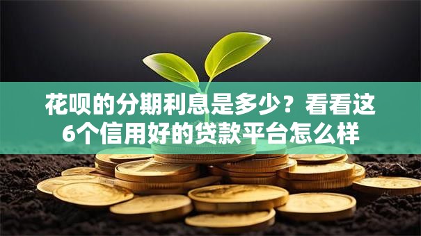 花呗的分期利息是多少？看看这6个信用好的贷款平台怎么样