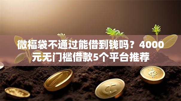 微福袋不通过能借到钱吗？4000元无门槛借款5个平台推荐