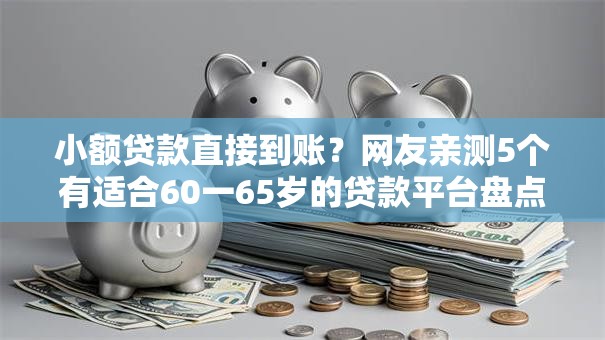 小额贷款直接到账？网友亲测5个有适合60一65岁的贷款平台盘点