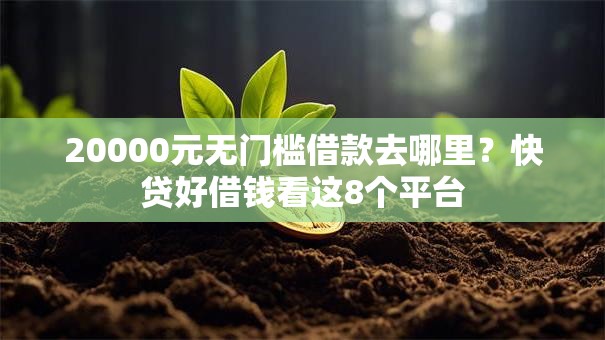 20000元无门槛借款去哪里？快贷好借钱看这8个平台