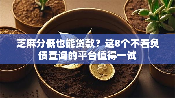 芝麻分低也能贷款？这8个不看负债查询的平台值得一试