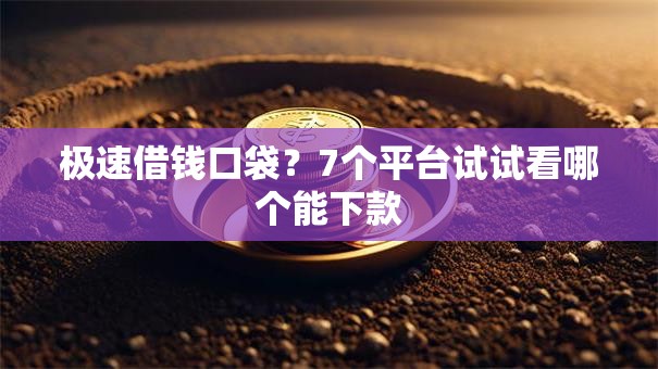 极速借钱口袋？7个平台试试看哪个能下款
