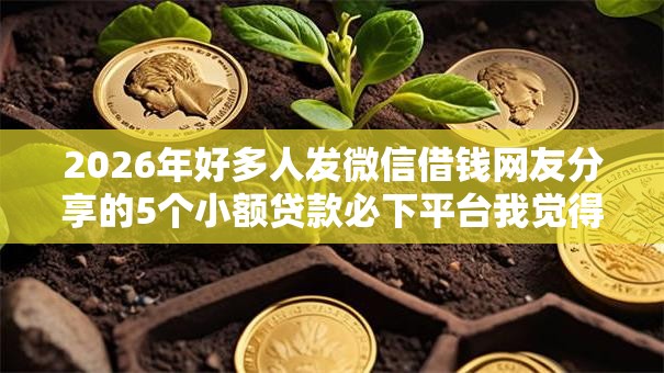 2026年好多人发微信借钱网友分享的5个小额贷款必下平台我觉得不错！