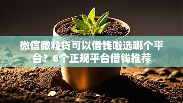 微信微粒贷可以借钱啦选哪个平台?6个正规平台借钱推荐 微信微粒贷可以借钱啦选哪个平台?6个正规平台借钱推荐