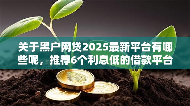 关于黑户网贷2025最新平台有哪些呢，推荐6个利息低的借款平台排名不分先后给你