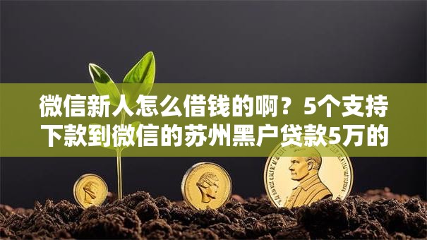 微信新人怎么借钱的啊?5个支持下款到微信的苏州黑户贷款5万的软件 微信新人怎么借钱的啊?5个支持下款到微信的苏州黑户贷款5万的软件