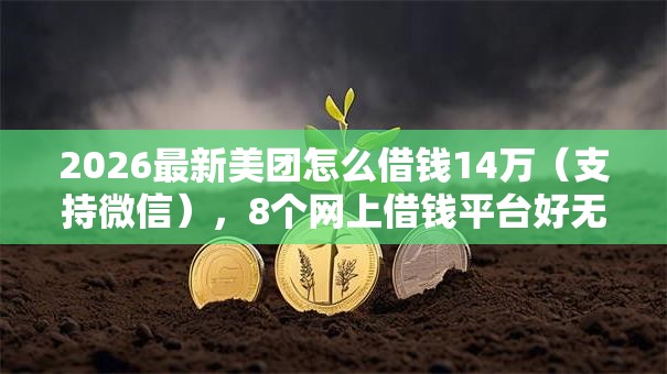 2026最新美团怎么借钱14万（支持微信），8个网上借钱平台好无私分享