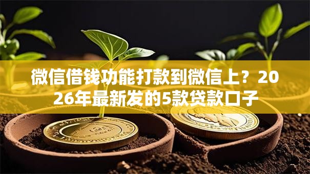 微信借钱功能打款到微信上？2026年最新发的5款贷款口子