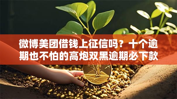 微博美团借钱上征信吗？十个逾期也不怕的高炮双黑逾期必下款软件