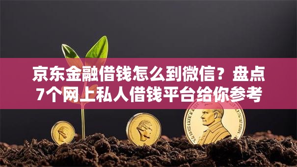 京东金融借钱怎么到微信？盘点7个网上私人借钱平台给你参考