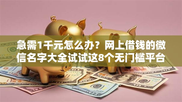 急需1千元怎么办？网上借钱的微信名字大全试试这8个无门槛平台