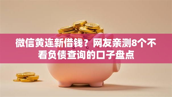 微信黄连新借钱？网友亲测8个不看负债查询的口子盘点