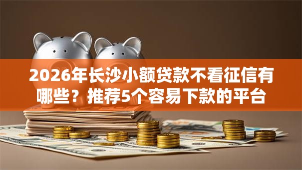 2026年长沙小额贷款不看征信有哪些？推荐5个容易下款的平台