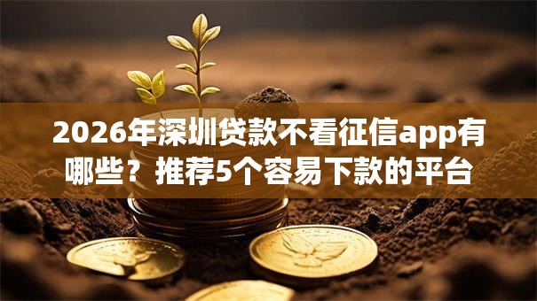 2026年深圳贷款不看征信app有哪些？推荐5个容易下款的平台